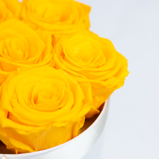 Mini Box Rosas Preservadas Amarillo