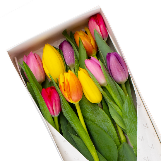 Caja 10 Tulipanes