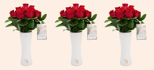 Plantas y orquideas