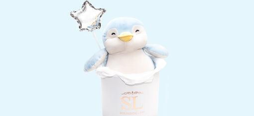 Teddy box peluches