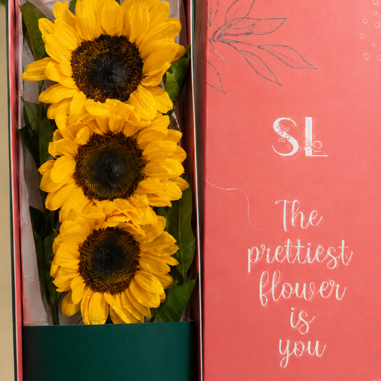 Caja Flores Amarillas Sol para Ti – 3 Girasoles