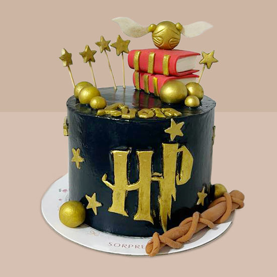 Harry Potter Cake 2
