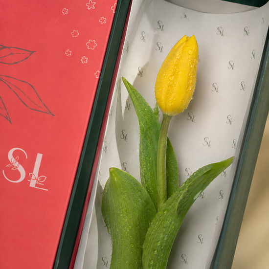 Caja Flores Amarillas Un Deseo – 1 Tulipán