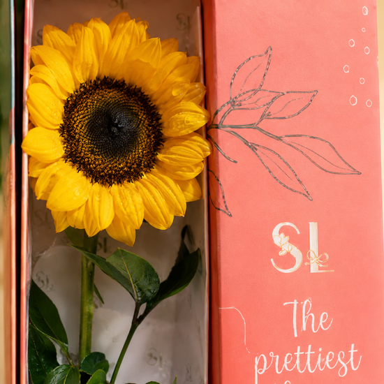 Caja Flores Amarillas Un Rayito para Ti – 1 Girasol