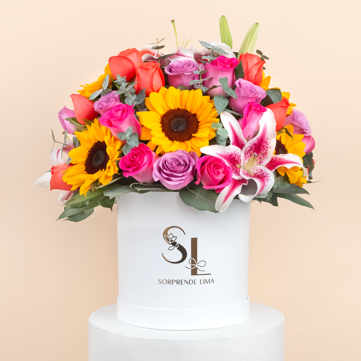 Box Antonia