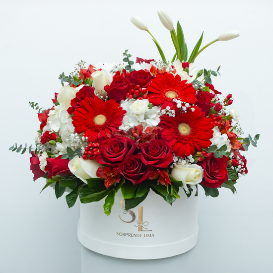 BOX ROJO ELEGANTE