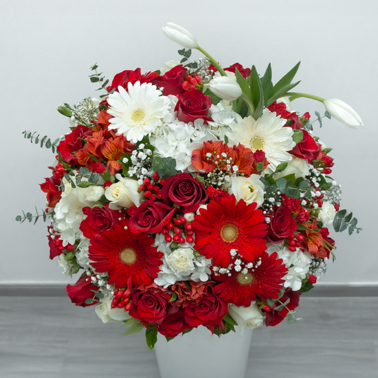 BOX ROJO ELEGANTE