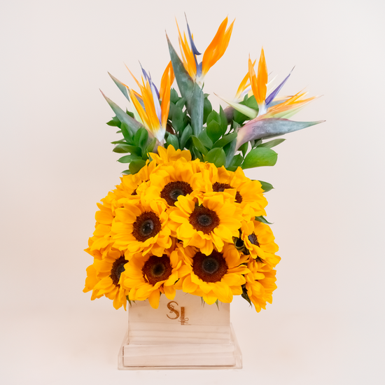 BOX GIRASOLES AÑO NUEVO