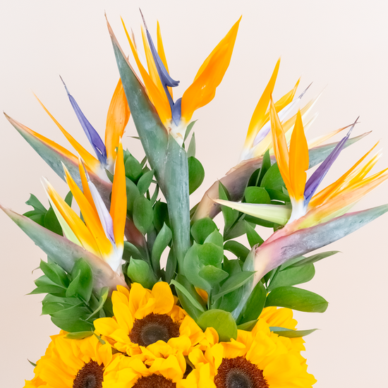 BOX GIRASOLES AÑO NUEVO