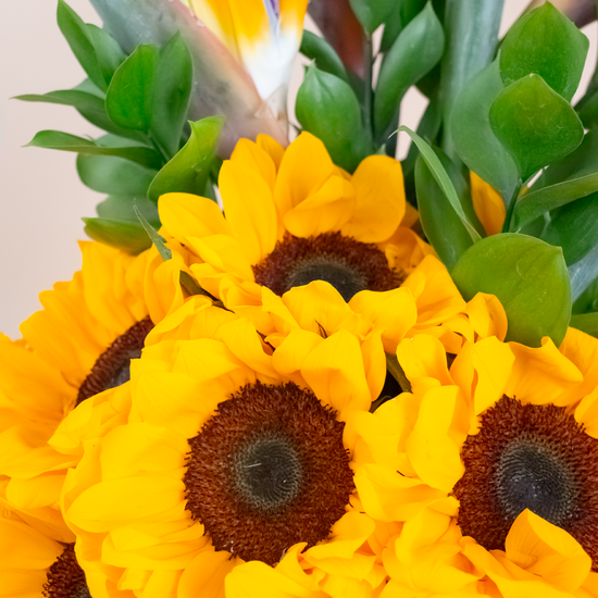 BOX GIRASOLES AÑO NUEVO