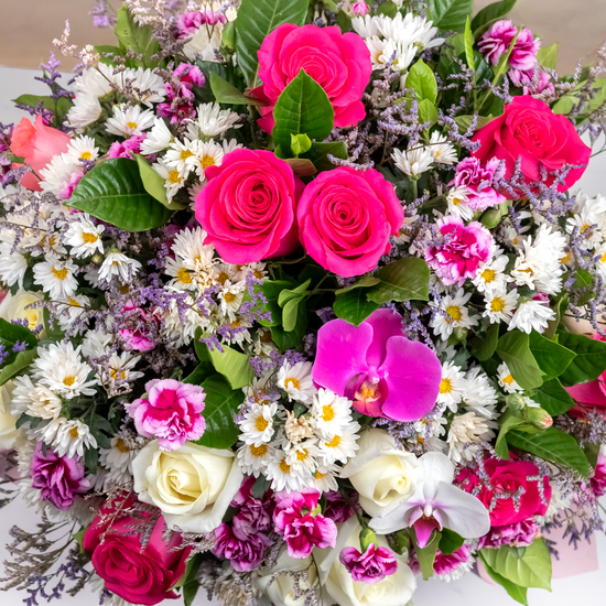 BOX PARIS CON ORQUÍDEAS