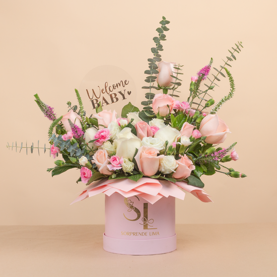 BOX WELCOME BABY