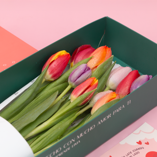 CAJA 10 TULIPANES SAN VALENTÍN