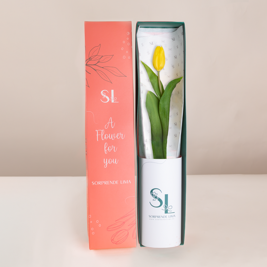 CAJA 1 TULIPÁN