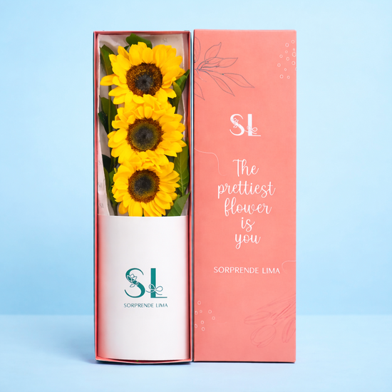 CAJA DE 3 GIRASOLES PASCUA