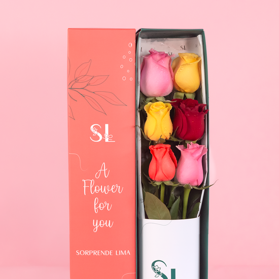 CAJA 6 ROSAS COLORFUL - JORGE LUNA