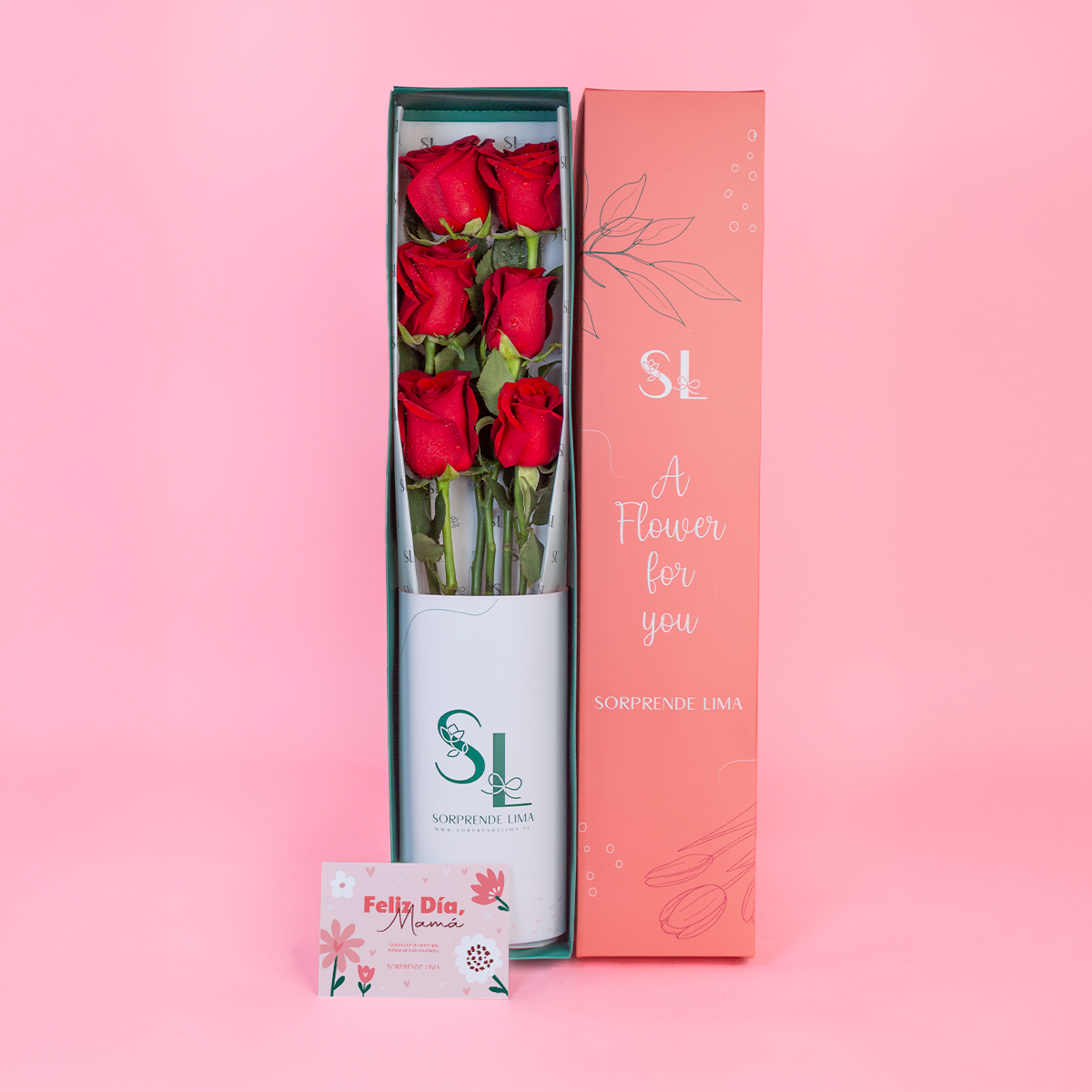 CAJA DE 6 ROSAS ROJAS MAMÁ