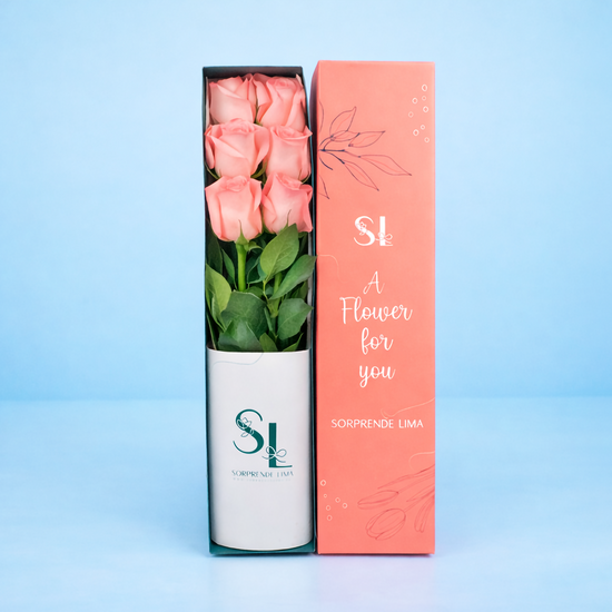 CAJA DE 6 ROSAS ROSADAS PASCUA