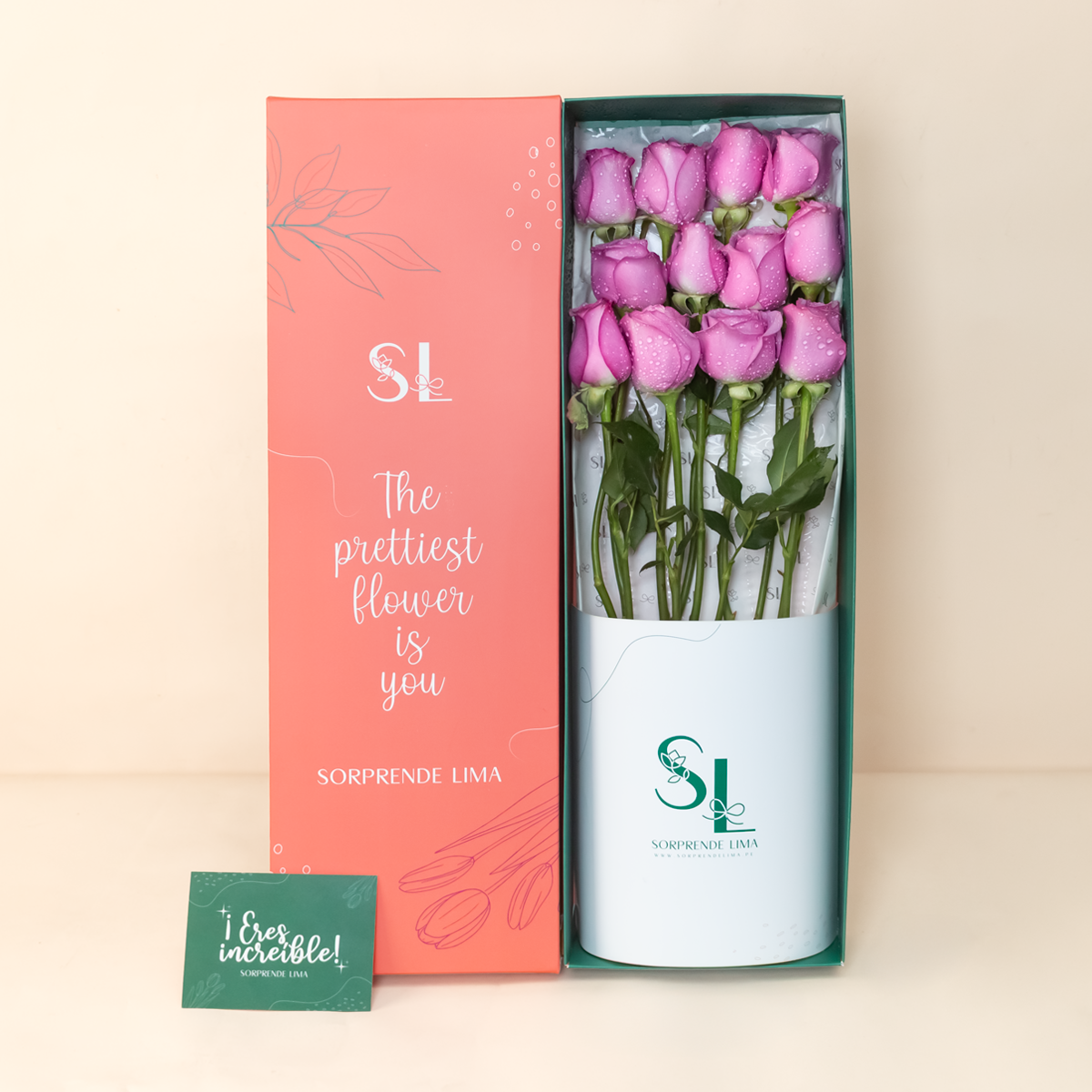 CAJA 12 ROSAS MORADAS