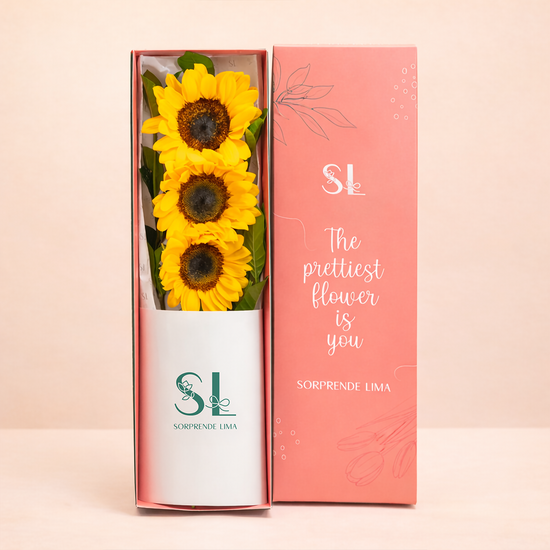 CAJA 3 GIRASOLES