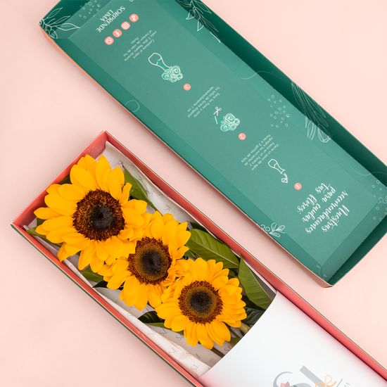 CAJA 3 GIRASOLES