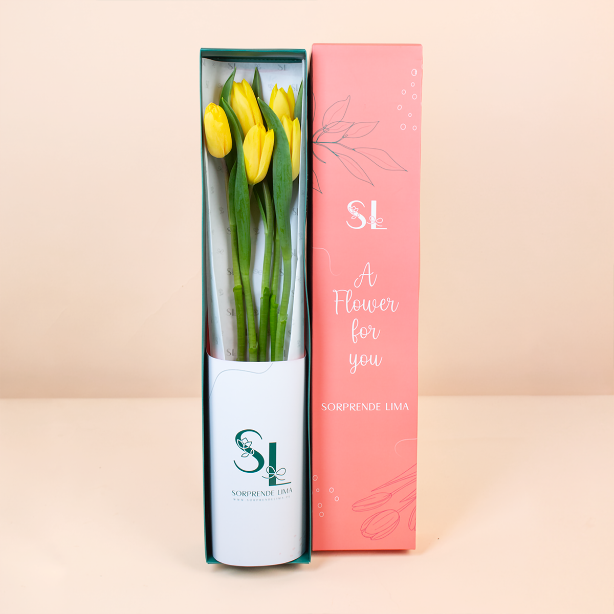 CAJA 5 TULIPANES AMARILLOS