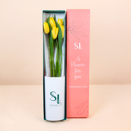 CAJA 5 TULIPANES AMARILLOS