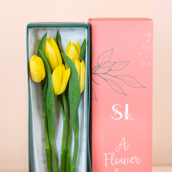 CAJA 5 TULIPANES AMARILLOS