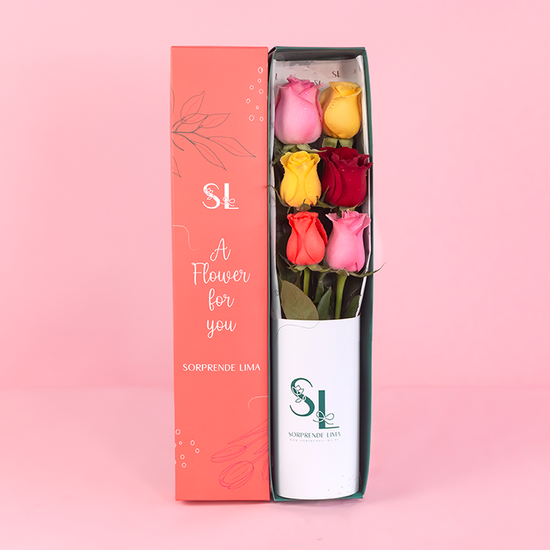 CAJA 6 ROSAS COLORFULL