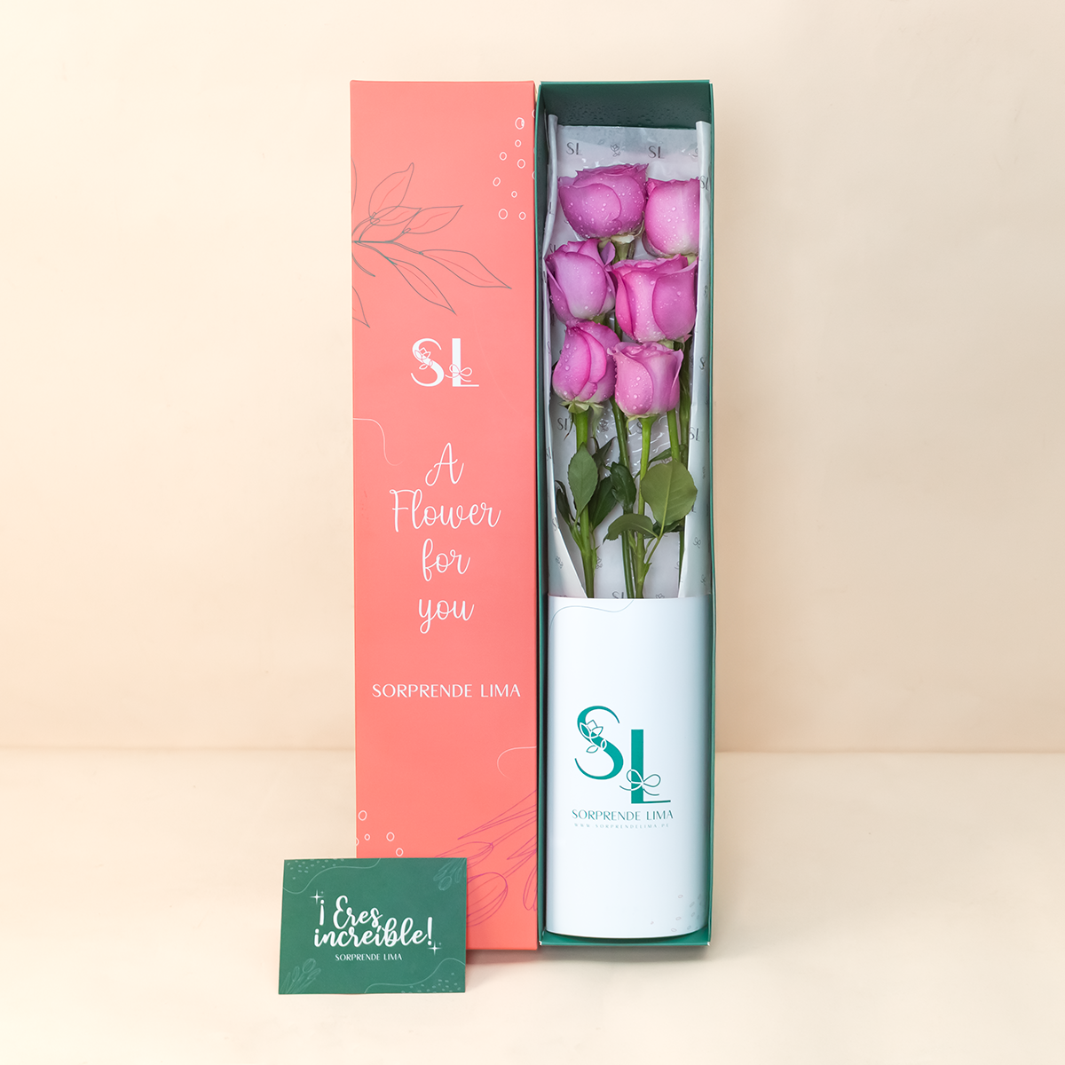 CAJA 6 ROSAS MORADAS