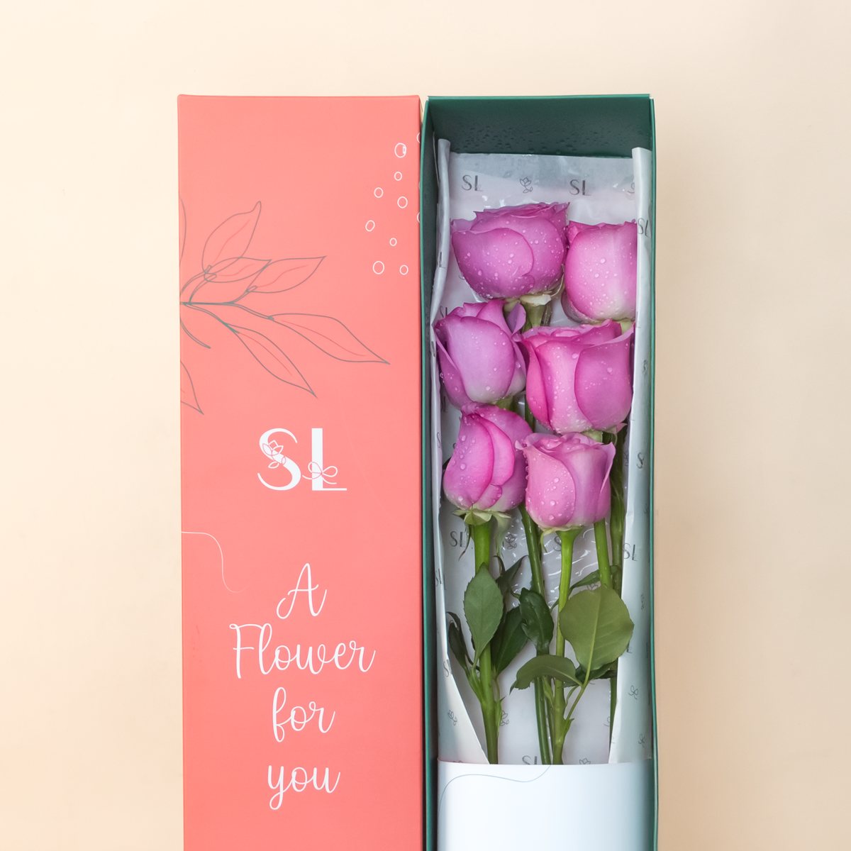 CAJA 6 ROSAS MORADAS