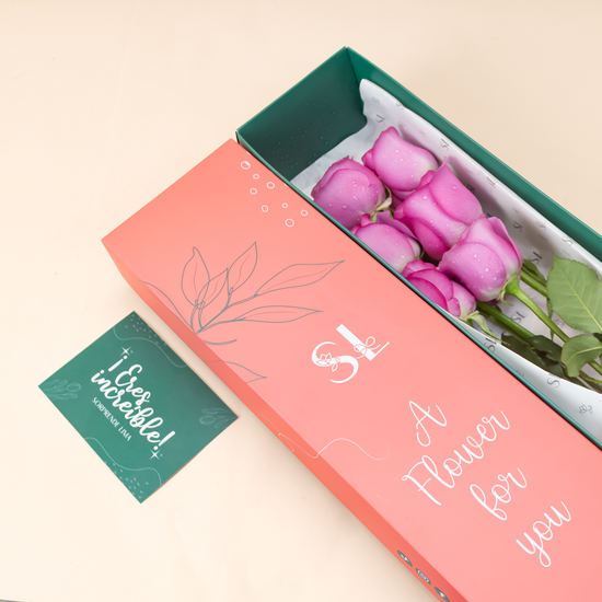 CAJA 6 ROSAS MORADAS