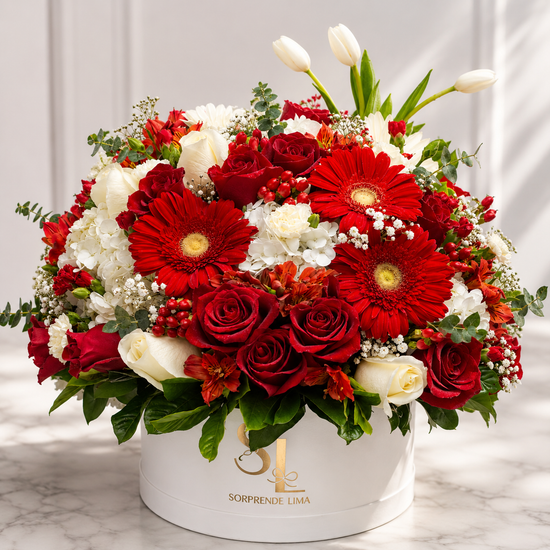 BOX ROJO ELEGANTE
