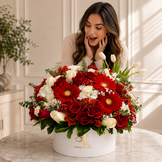 BOX ROJO ELEGANTE