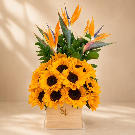 BOX 15 GIRASOLES
