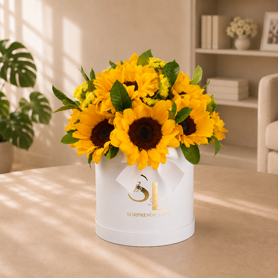 BOX DE GIRASOLES WHITE