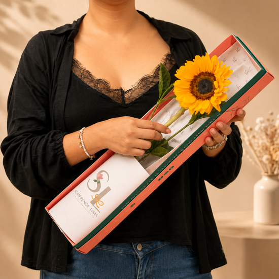 CAJA 1 GIRASOL