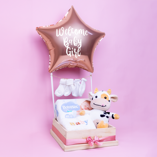 Gift Box Welcome Baby Girl