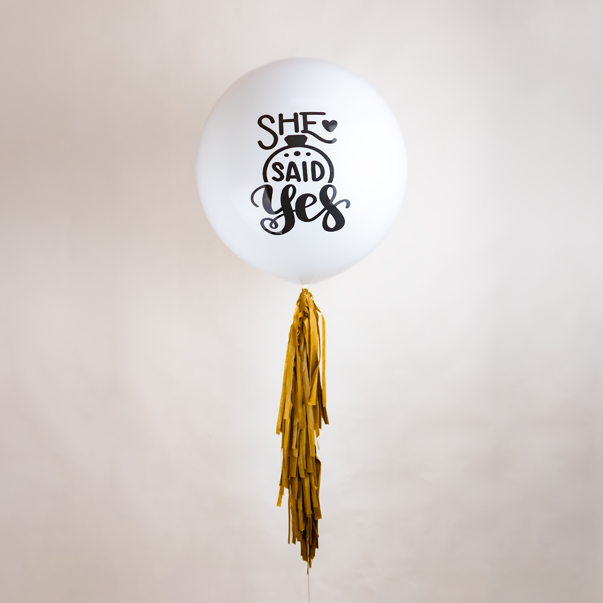 GLOBO NOVIA SHE SAID YES