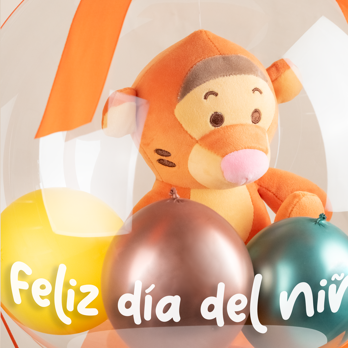 BOX GLOBO PELUCHE MÁGICO