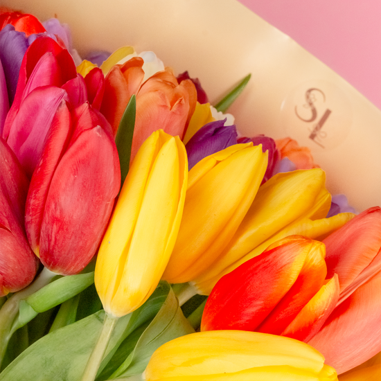 RAMO 50 TULIPANES