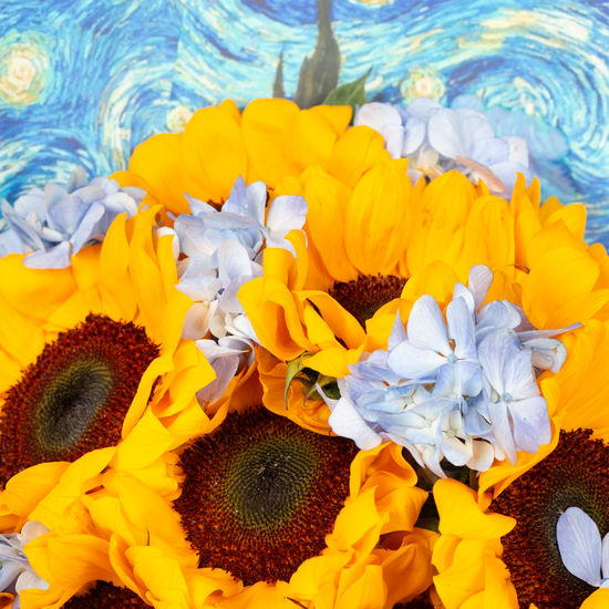 RAMO VAN GOGH PREMIUM