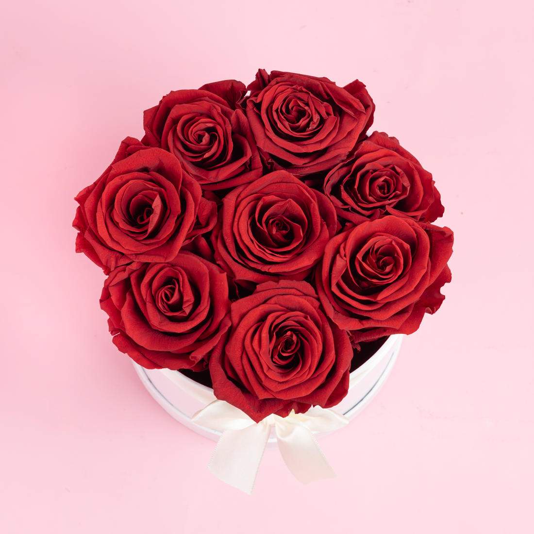 ROSAS ETERNAS BOTON – SORPRENDE LIMA