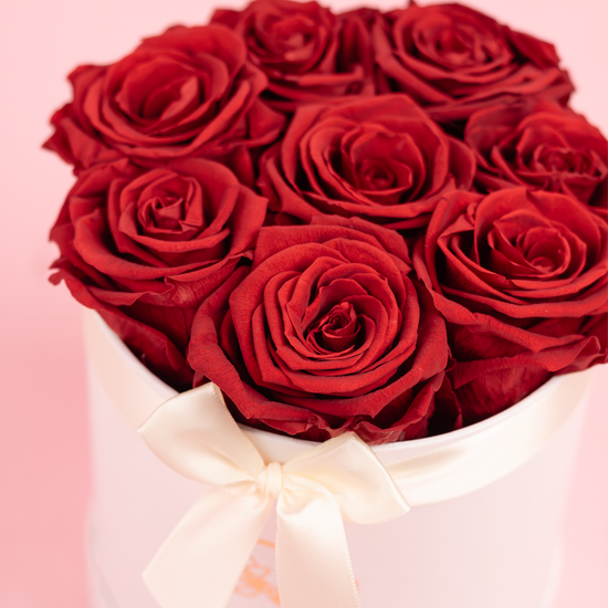 Mini Box Rosas Preservadas Rojo