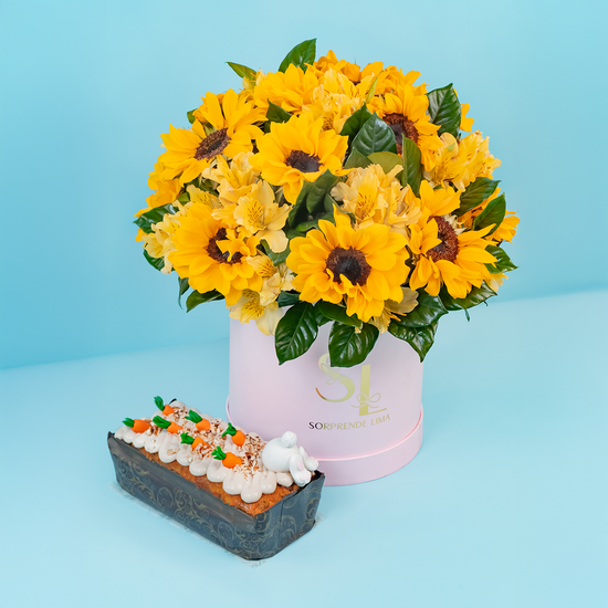 PACK SUNNY PASCUA