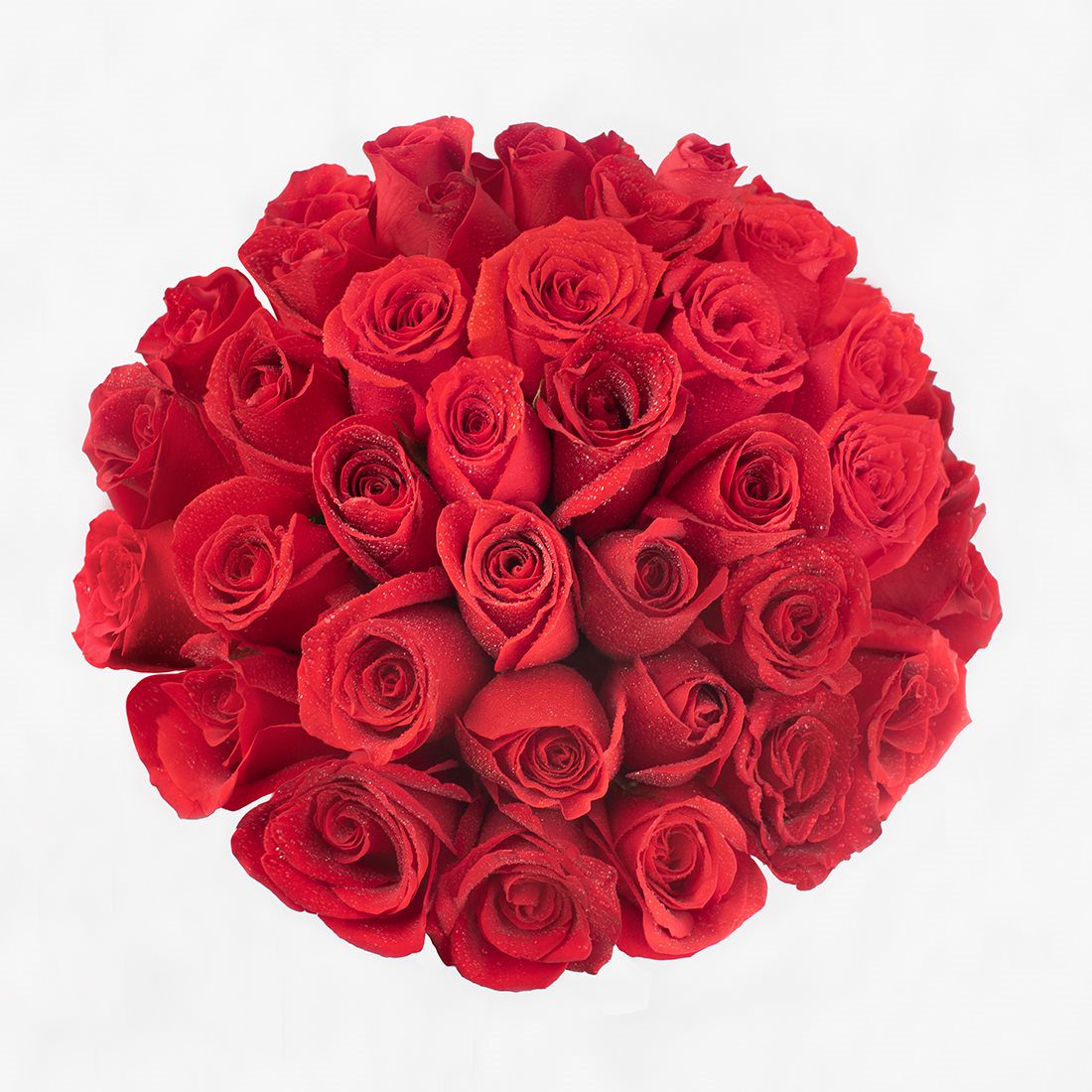 Cargar imagen en el visor de la galería, Box Full Roses Rojo
