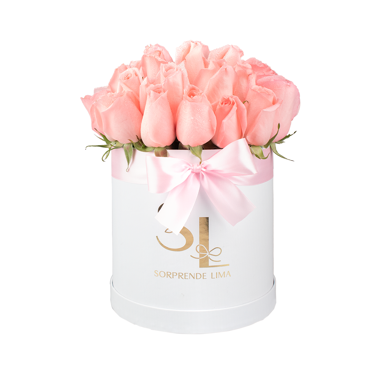 Box Full Roses Rosa – SORPRENDE LIMA