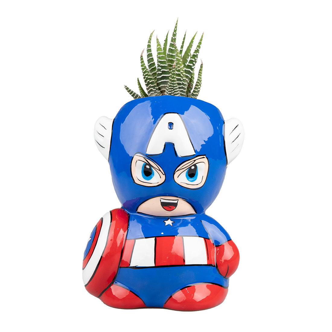 Suculenta Capitan America