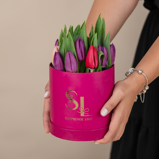 Box 15 Tulipanes