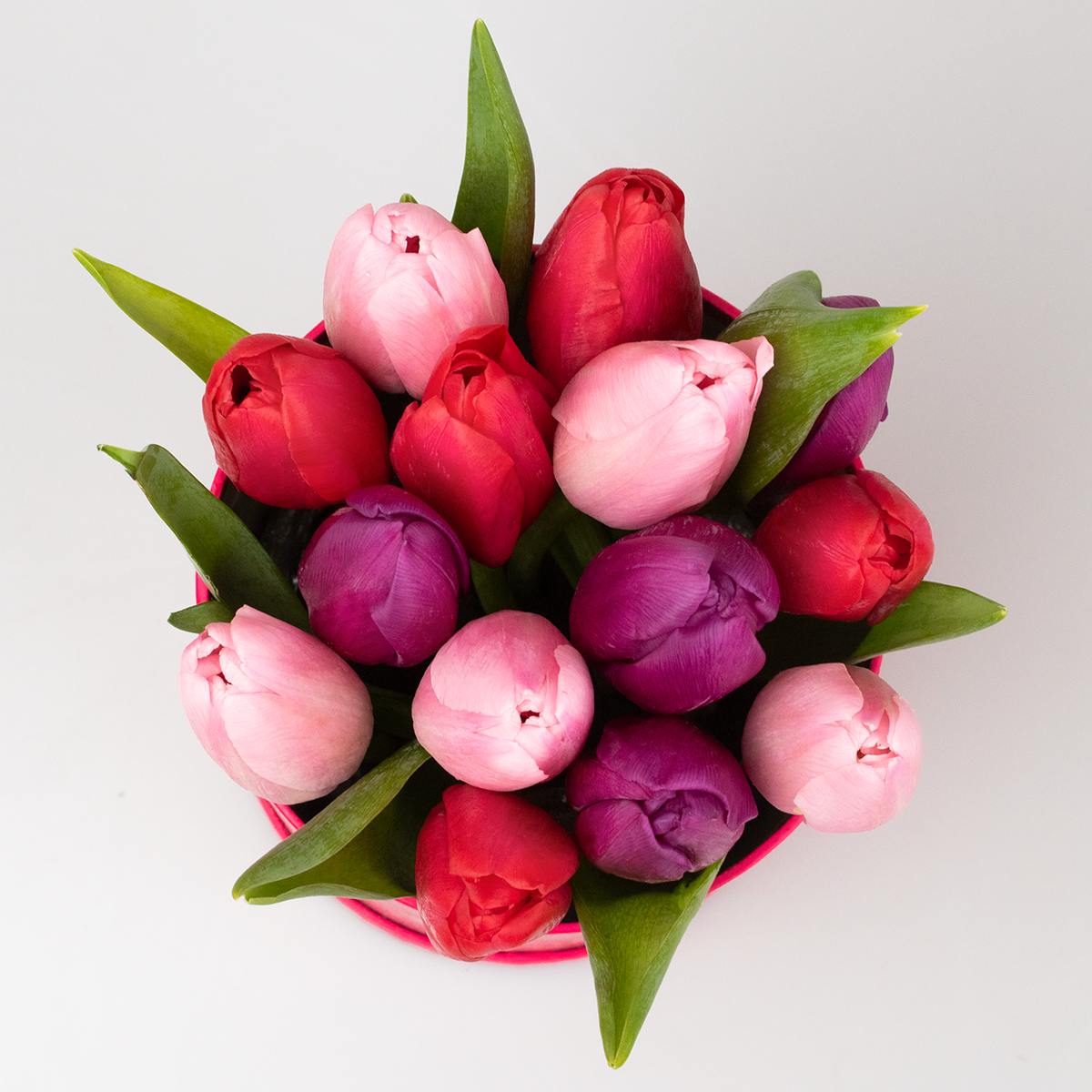 Box 15 Tulipanes